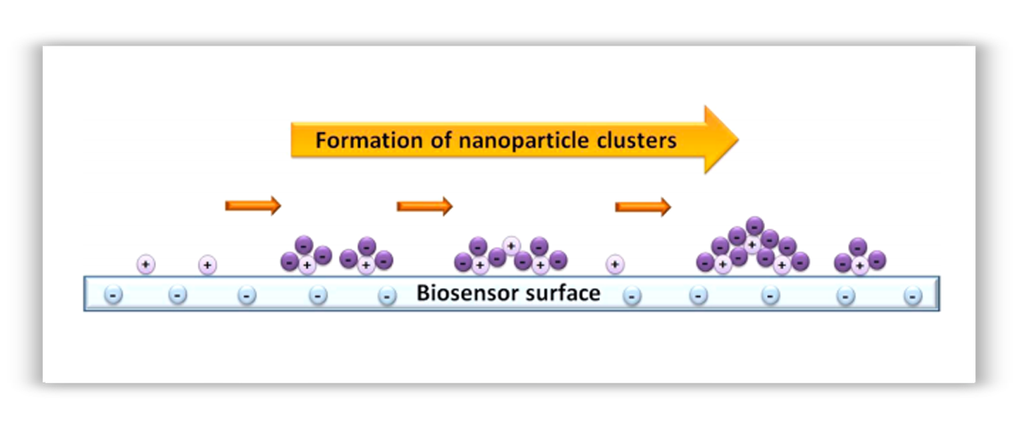 Nanoparticle clusters