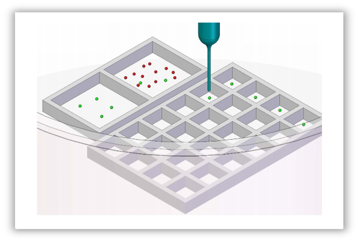 Singel cell isolation